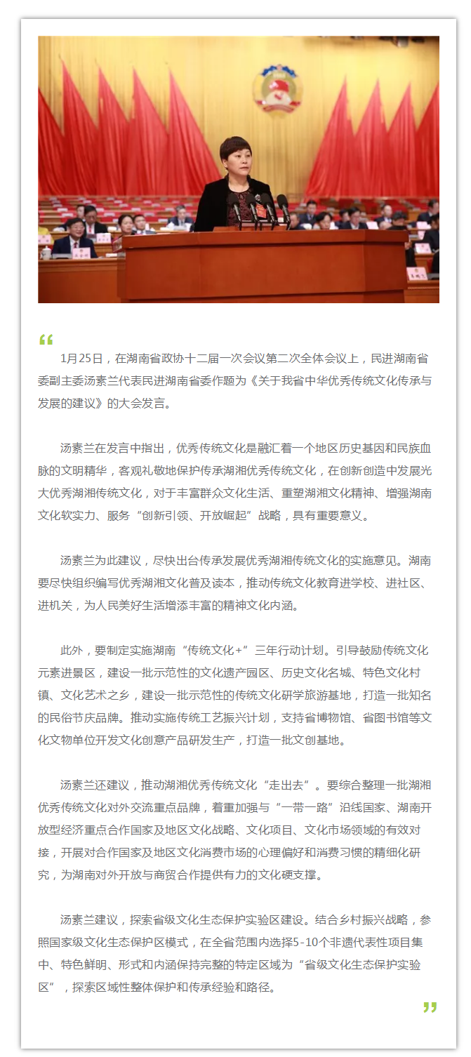 笨狼,笨狼文化新闻-【两会聚焦】汤素兰代表民进湖南省委在湖南省政协十二届一次会议上作发言